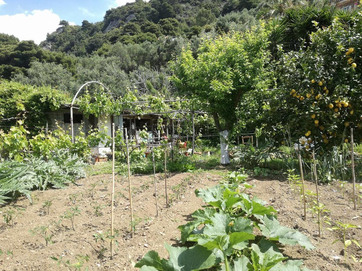 Madalenas B&B Πέλεκας Εξωτερικό φωτογραφία