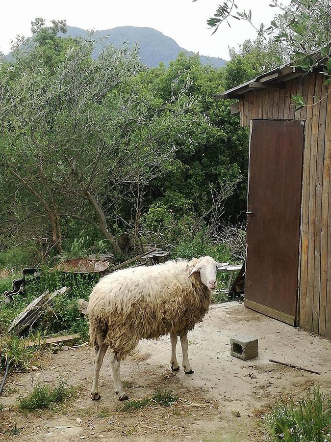Madalenas B&B Πέλεκας Εξωτερικό φωτογραφία