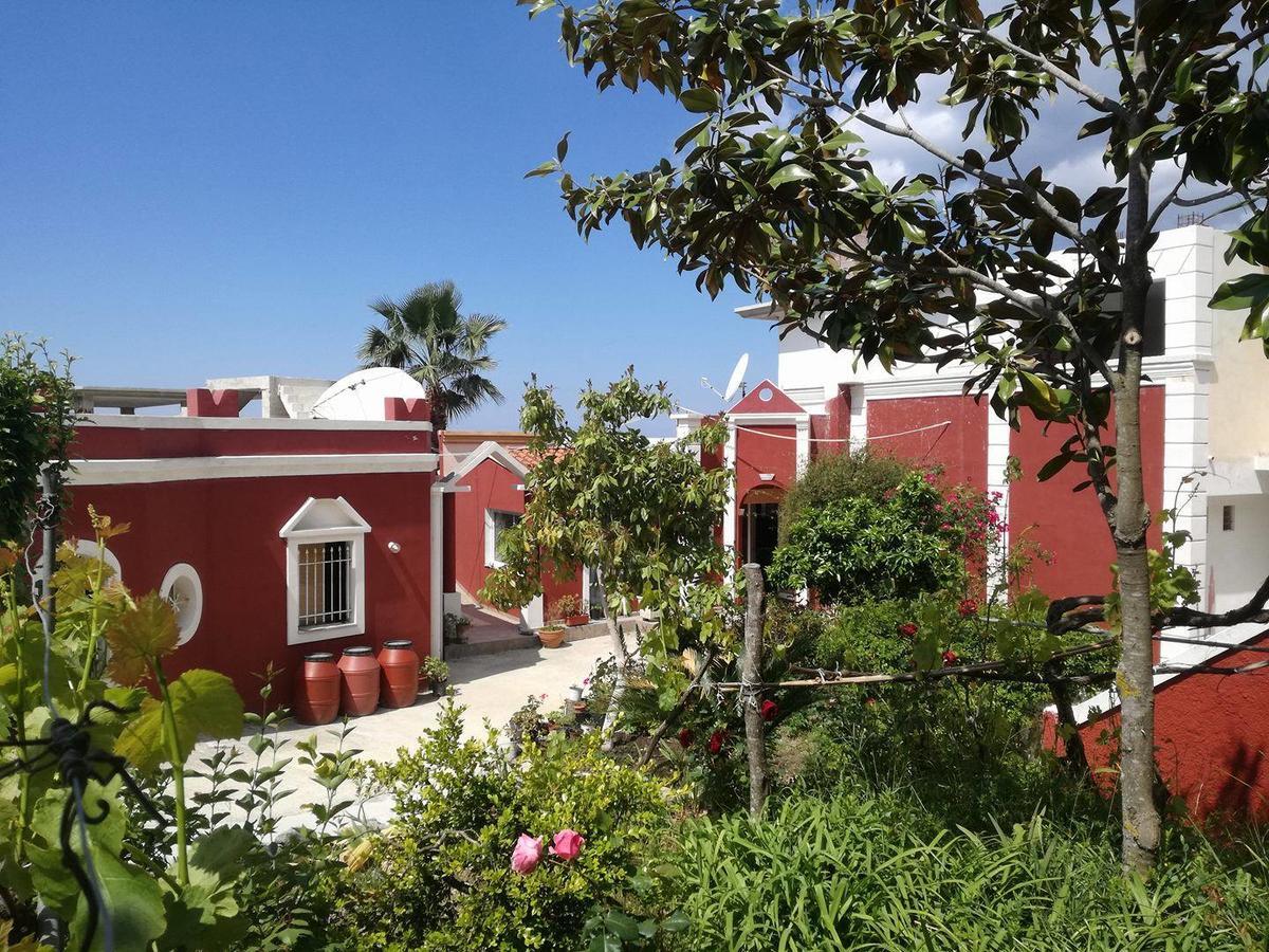 Madalenas B&B Πέλεκας Εξωτερικό φωτογραφία