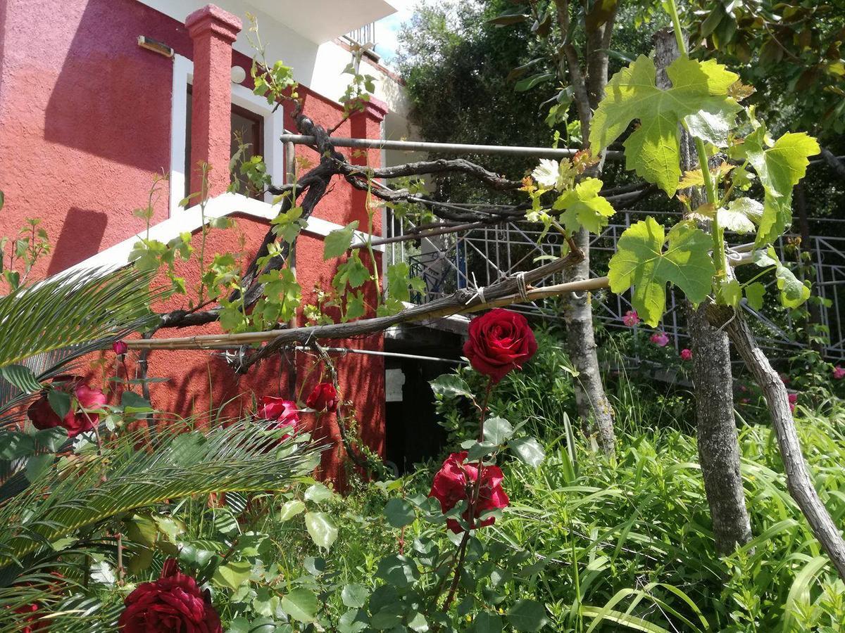 Madalenas B&B Πέλεκας Εξωτερικό φωτογραφία