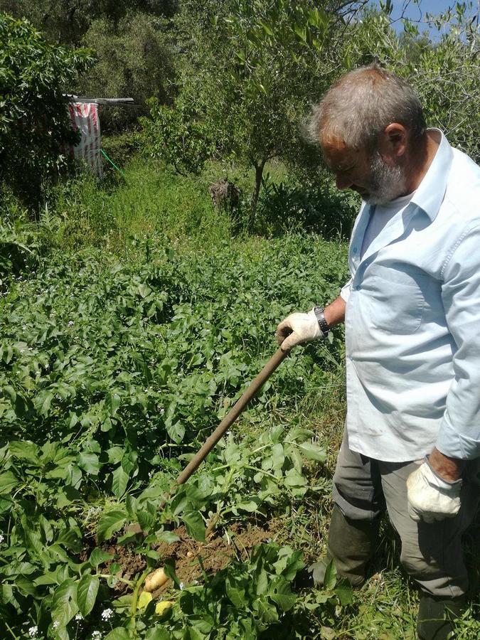 Madalenas B&B Πέλεκας Εξωτερικό φωτογραφία